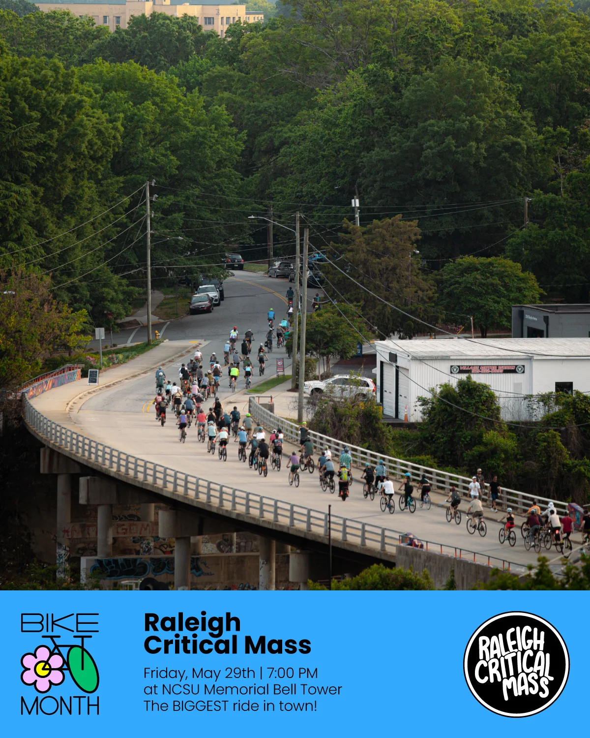 Raleigh Critical Mass